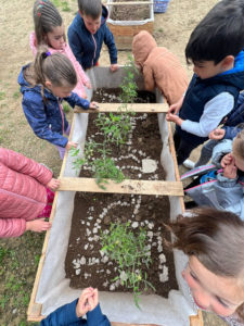 2023-2024 - Millau - Ecole St Martin - Classe dehors 2